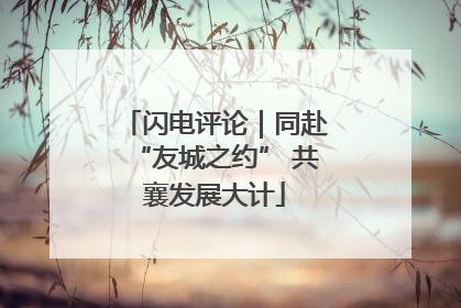闪电评论｜同赴“友城之约” 共襄发展大计