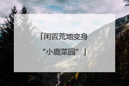 闲置荒地变身“小鹿菜园”