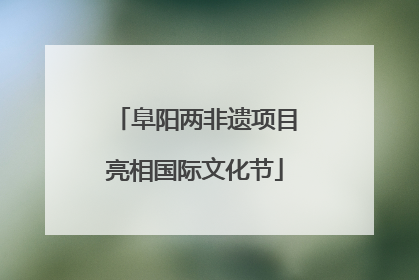 阜阳两非遗项目亮相国际文化节