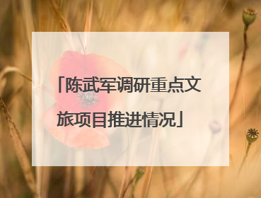 陈武军调研重点文旅项目推进情况
