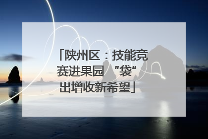 陕州区：技能竞赛进果园 “袋”出增收新希望
