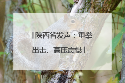 陕西省发声：重拳出击、高压震慑