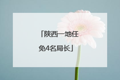 陕西一地任免4名局长