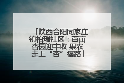 陕西合阳同家庄镇柏瑞社区：百亩杏园迎丰收 果农走上“杏”福路