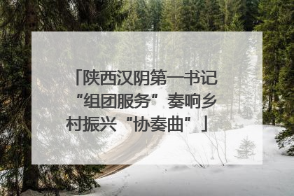 陕西汉阴第一书记“组团服务”奏响乡村振兴“协奏曲”