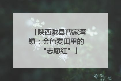 陕西陇县曹家湾镇：金色麦田里的“志愿红”