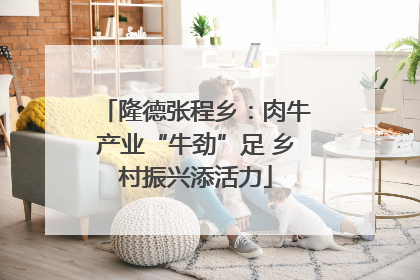 隆德张程乡：肉牛产业“牛劲”足 乡村振兴添活力