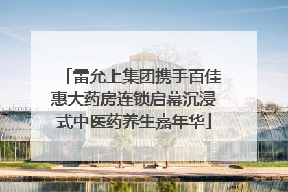 雷允上集团携手百佳惠大药房连锁启幕沉浸式中医药养生嘉年华