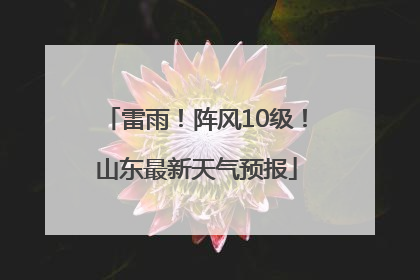 雷雨！阵风10级！山东最新天气预报