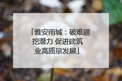 雅安雨城：破难题 挖潜力 促进建筑业高质量发展