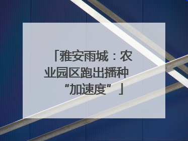 雅安雨城：农业园区跑出播种“加速度”