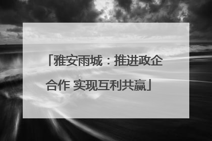雅安雨城：推进政企合作 实现互利共赢