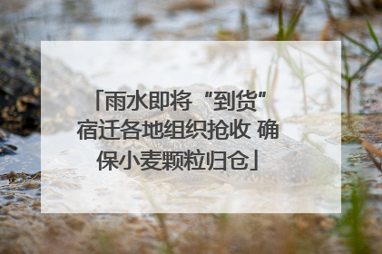 雨水即将“到货” 宿迁各地组织抢收 确保小麦颗粒归仓
