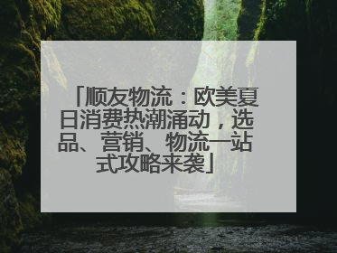 顺友物流：欧美夏日消费热潮涌动，选品、营销、物流一站式攻略来袭