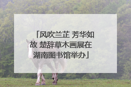 风吹兰芷 芳华如故 楚辞草木画展在湖南图书馆举办