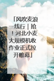 风吹麦浪一线行｜抢！河北小麦大规模机收作业正式拉开帷幕