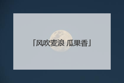 风吹麦浪 瓜果香