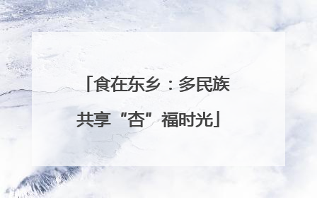 食在东乡：多民族共享“杏”福时光