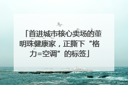 首进城市核心卖场的董明珠健康家，正撕下“格力=空调”的标签