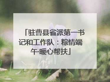 驻曹县省派第一书记和工作队：粽情端午·暖心帮扶