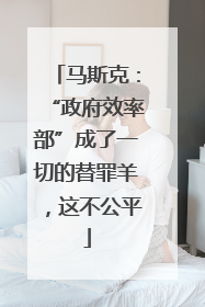 马斯克：“政府效率部”成了一切的替罪羊，这不公平