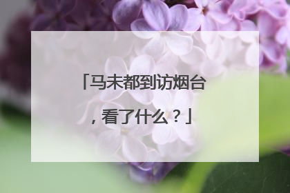 马未都到访烟台，看了什么？