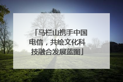 马栏山携手中国电信，共绘文化科技融合发展蓝图
