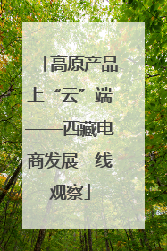 高原产品上“云”端——西藏电商发展一线观察
