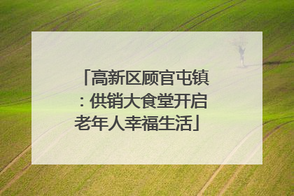 高新区顾官屯镇：供销大食堂开启老年人幸福生活