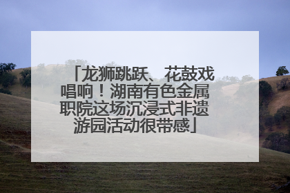 龙狮跳跃、花鼓戏唱响！湖南有色金属职院这场沉浸式非遗游园活动很带感