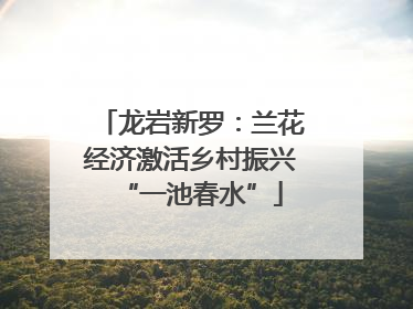 龙岩新罗：兰花经济激活乡村振兴“一池春水”