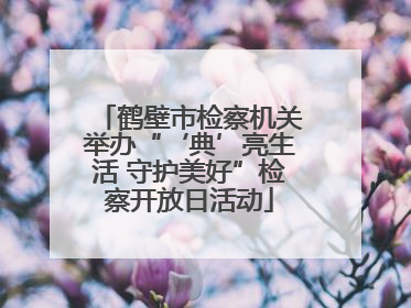 鹤壁市检察机关举办“‘典’亮生活 守护美好”检察开放日活动