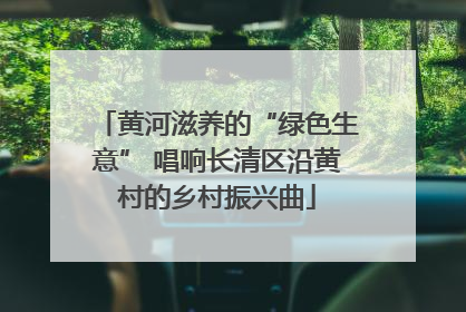 黄河滋养的“绿色生意” 唱响长清区沿黄村的乡村振兴曲