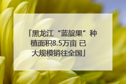 黑龙江“蓝靛果”种植面积8.5万亩 已大规模销往全国