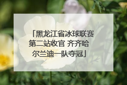 黑龙江省冰球联赛第二站收官 齐齐哈尔兰迪一队夺冠