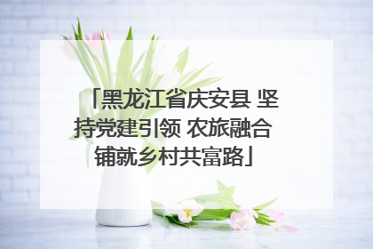 黑龙江省庆安县 坚持党建引领 农旅融合铺就乡村共富路
