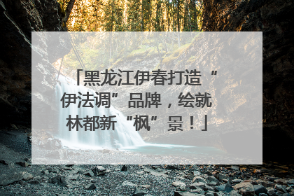 黑龙江伊春打造“伊法调”品牌，绘就林都新“枫”景！