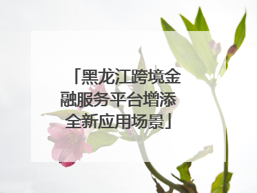 黑龙江跨境金融服务平台增添全新应用场景