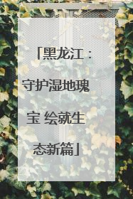黑龙江：守护湿地瑰宝 绘就生态新篇