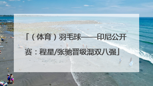 （体育）羽毛球——印尼公开赛：程星/张驰晋级混双八强