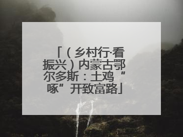 （乡村行·看振兴）内蒙古鄂尔多斯：土鸡“啄”开致富路