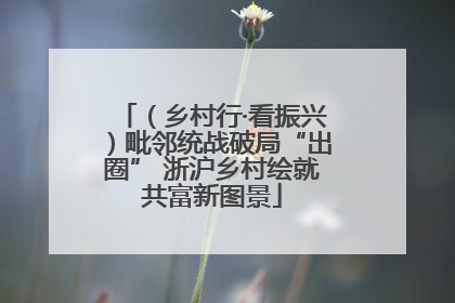 （乡村行·看振兴）毗邻统战破局“出圈” 浙沪乡村绘就共富新图景
