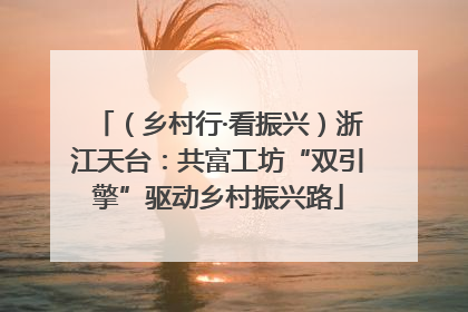 （乡村行·看振兴）浙江天台：共富工坊“双引擎”驱动乡村振兴路