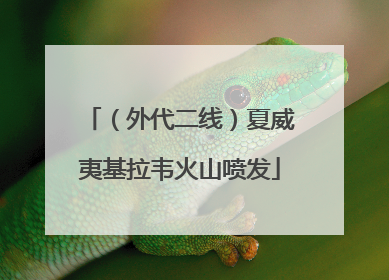 （外代二线）夏威夷基拉韦火山喷发
