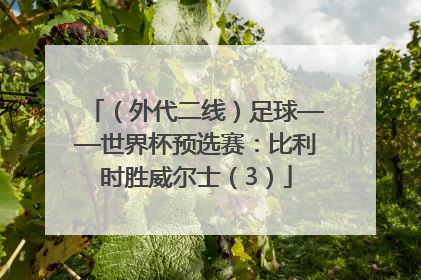 （外代二线）足球——世界杯预选赛：比利时胜威尔士（3）