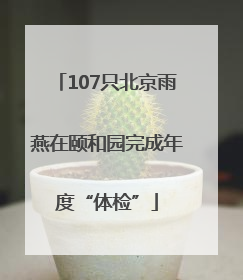 107只北京雨燕在颐和园完成年度“体检”