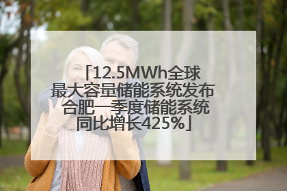 12.5MWh全球最大容量储能系统发布 合肥一季度储能系统同比增长425%