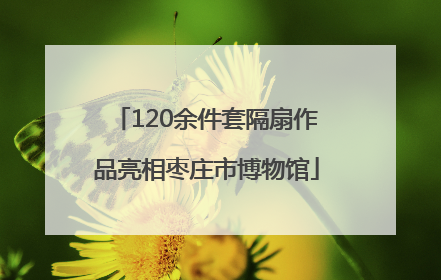 120余件套隔扇作品亮相枣庄市博物馆