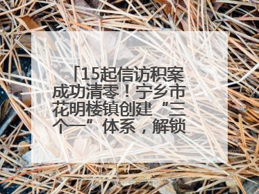 15起信访积案成功清零！宁乡市花明楼镇创建“三个一”体系，解锁基层治理新姿势