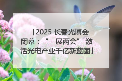 2025 长春光博会闭幕：“一展两会” 激活光电产业千亿新蓝图